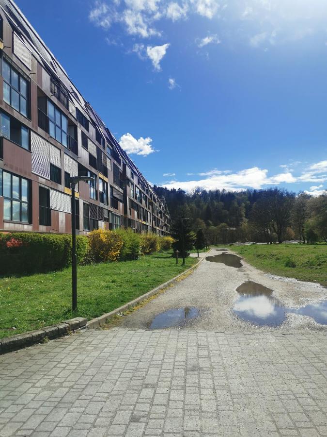 Cozy Apartment Ljubljana With Free Parking And Balcony Zewnętrze zdjęcie